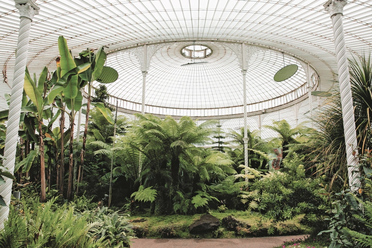 GlasshouseGreenhouse 3 IndiaHobson MagnusEdmondson invernaderos plantas libro fotografía