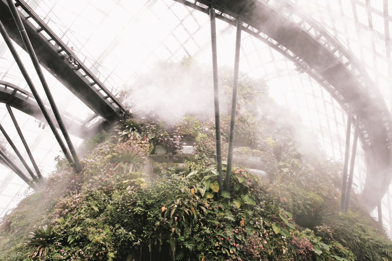 GlasshouseGreenhouse 7 IndiaHobson MagnusEdmondson invernaderos plantas libro fotografía
