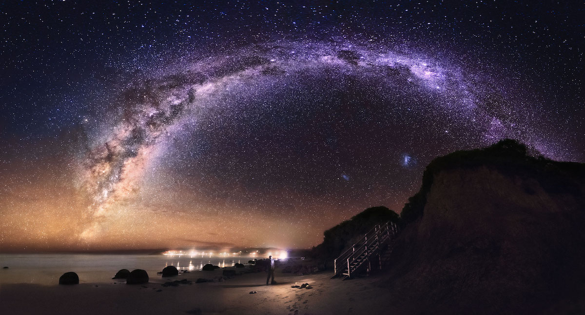 Grey Chow via lactea 06
