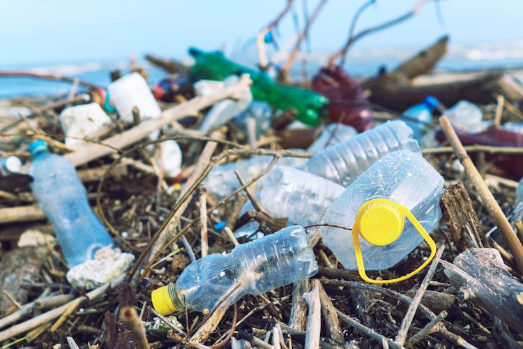 PlasticoUnSoloUso 1 UniónEuropea EU ecología medida ley reciclaje MedioAmbiente