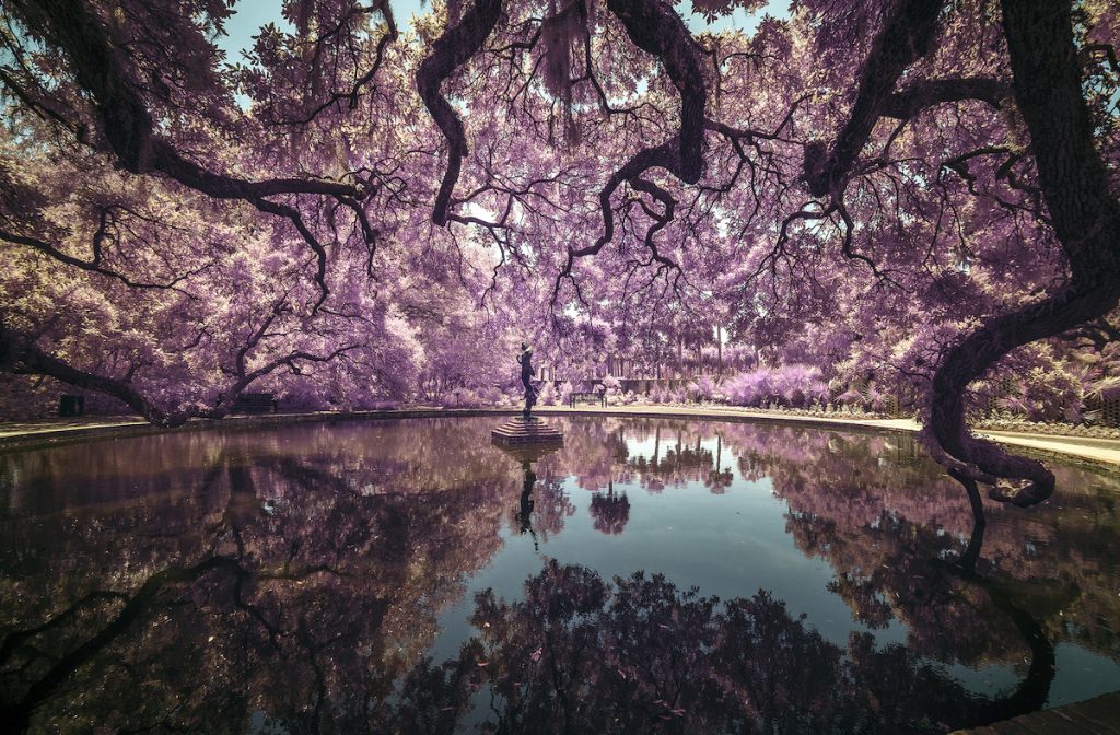 Sony foto 2019 03