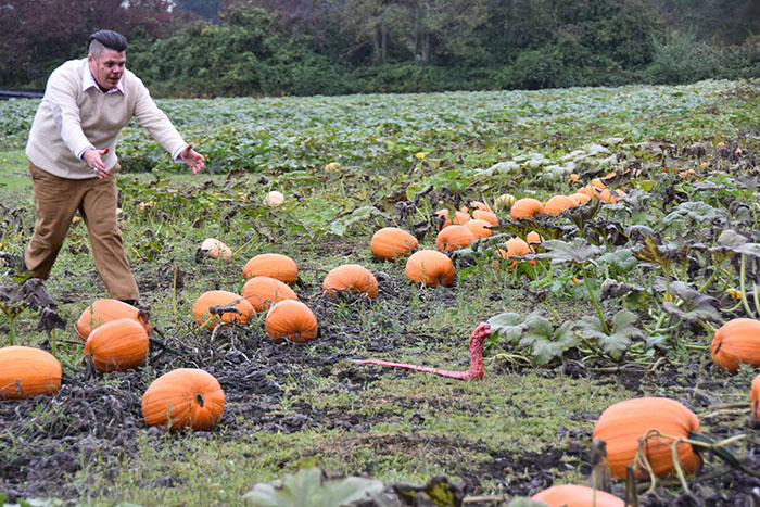 ToddCameron 9 sesiónfotográfica maternidad alien absurdo humor bizarro halloween viral