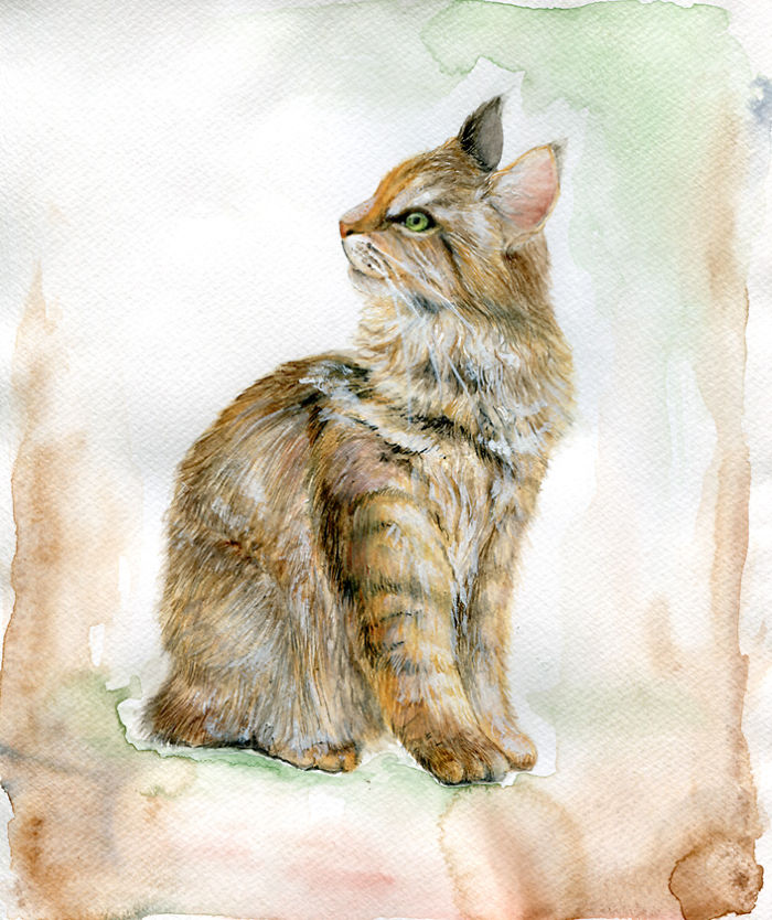 VeselkaVelinova 6 gatos ilustración pintura estilosartíticos mocimientos artísticos curiosidad