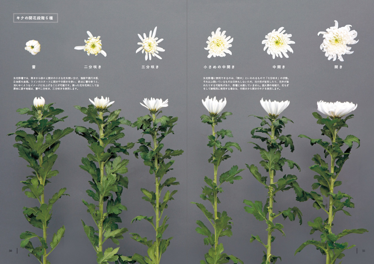 arreglos florales japon 03