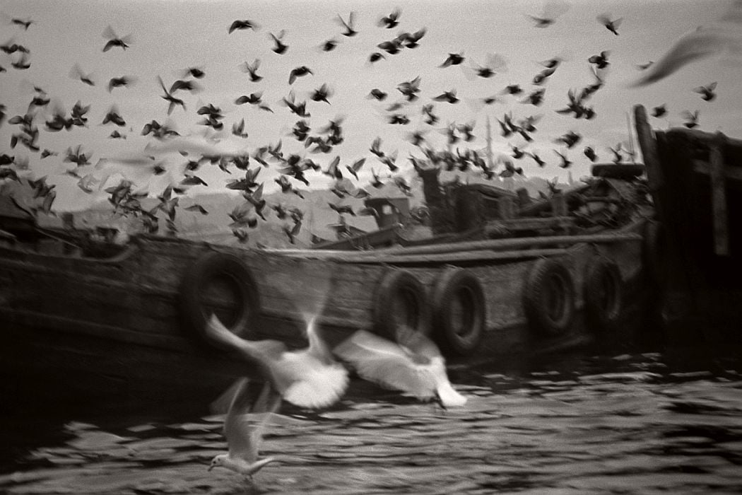 photographer and photojournalist ara guler 05