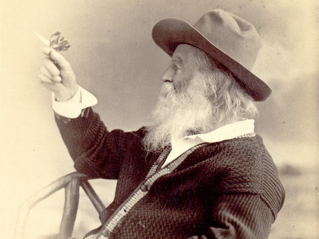 Walt Whitman con una mariposa posada en su mano.