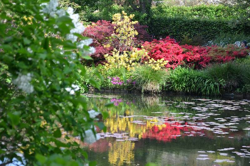 Claude Monet jardines Giverny