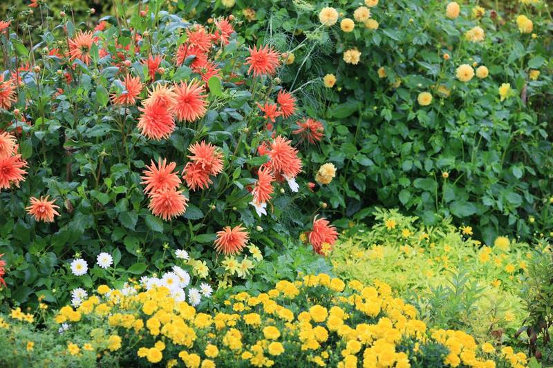Claude Monet jardines Giverny