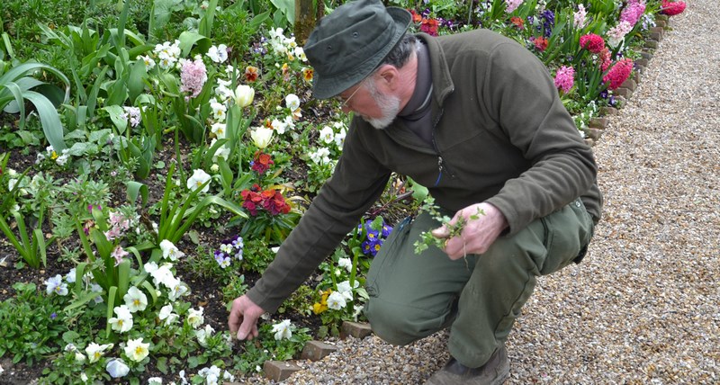 Claude Monet jardines Giverny