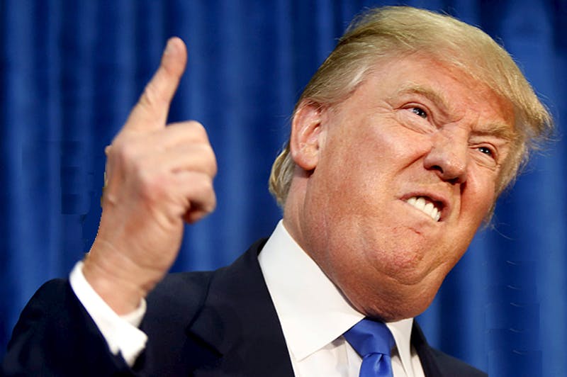 escobilla del váter con el rostro de Donald Trump