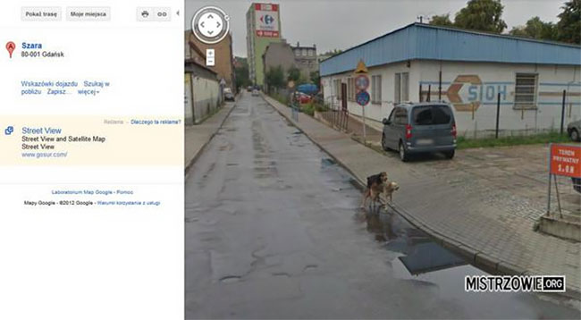 Google street culturainquieta11