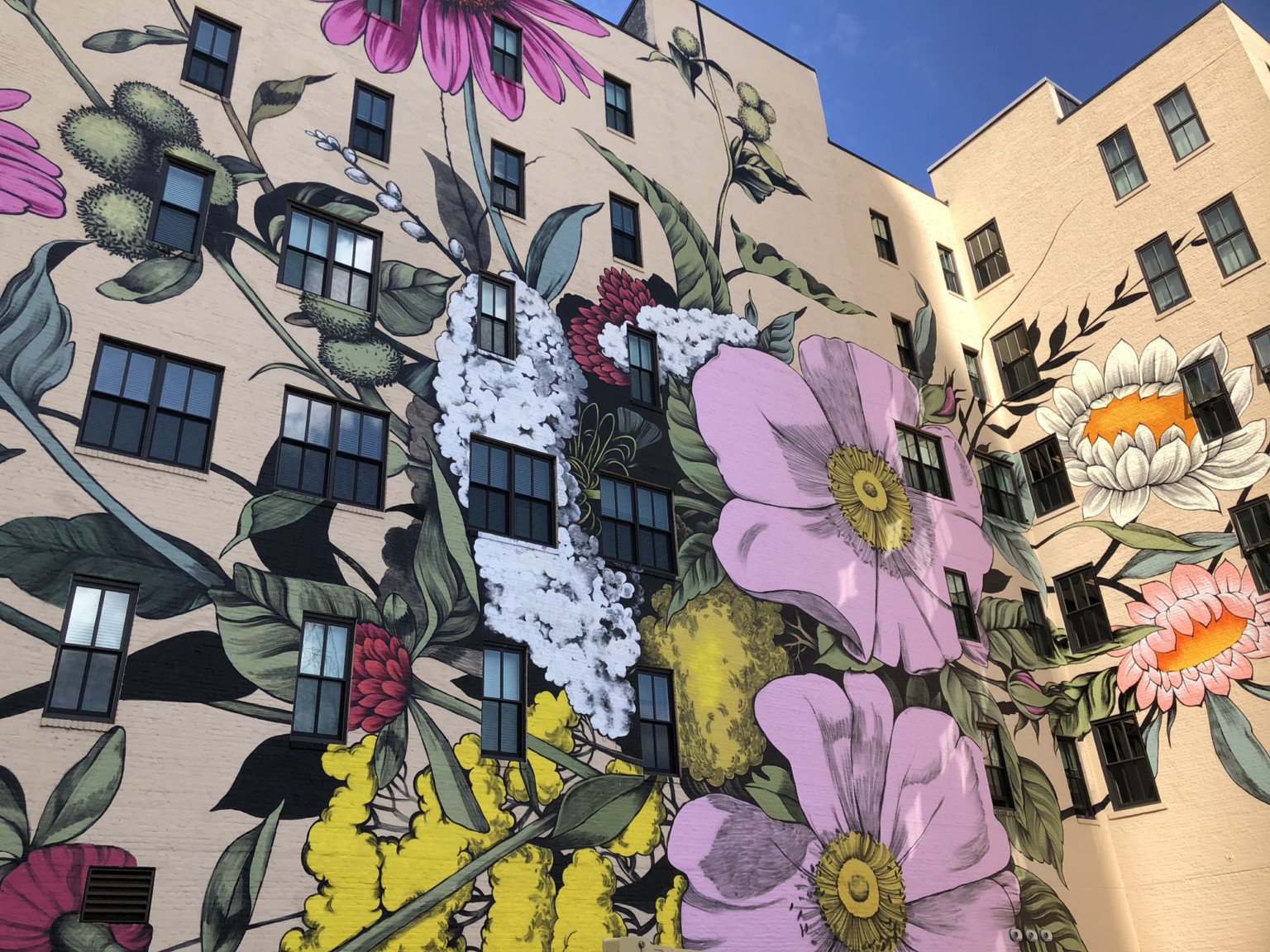 LouiseJones 2 Ouizi arteurbano intervencionesurbanas flores edificios belleza