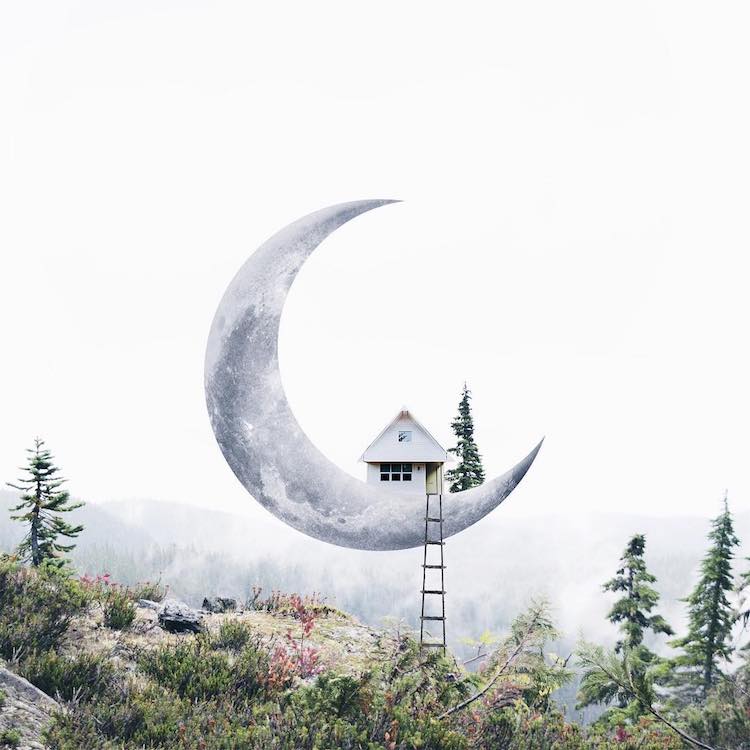 LuisaAzevedo 10 surrealismo naturaleza animales artedigital photoshop instagram