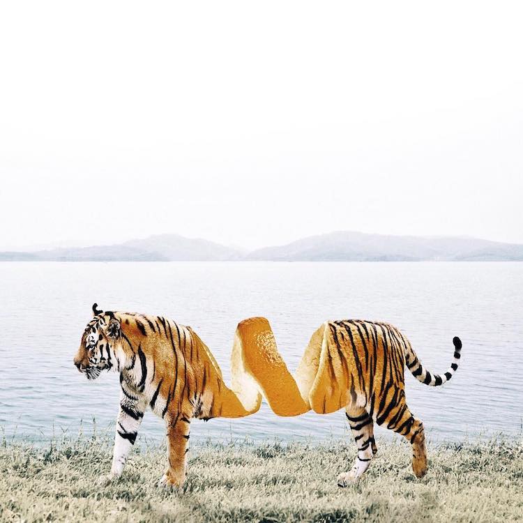 LuisaAzevedo 13 surrealismo naturaleza animales artedigital photoshop instagram