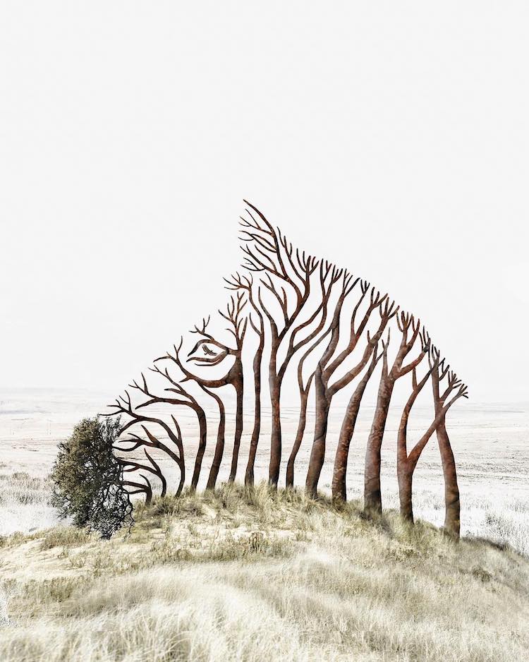 LuisaAzevedo 1 surrealismo naturaleza animales artedigital photoshop instagram