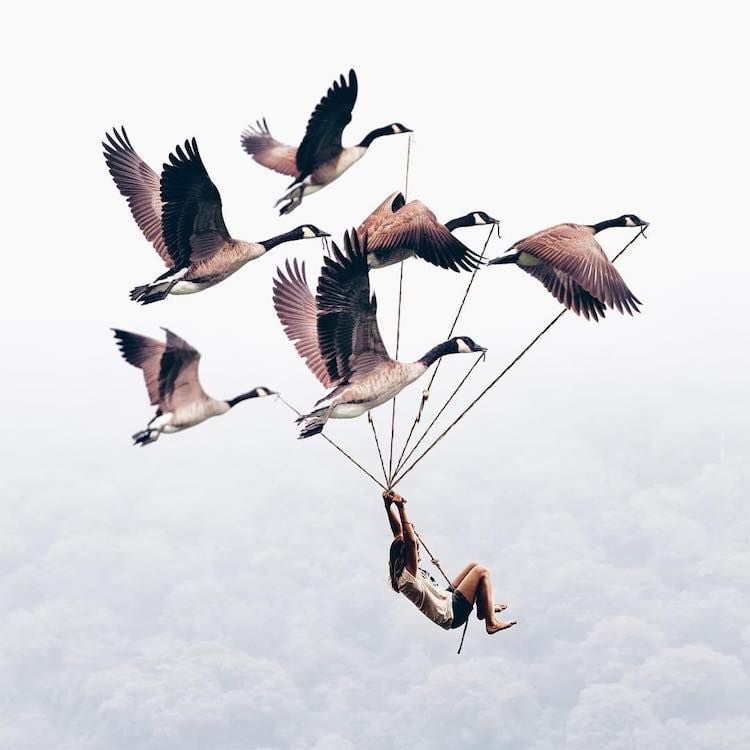 LuisaAzevedo 20 surrealismo naturaleza animales artedigital photoshop instagram