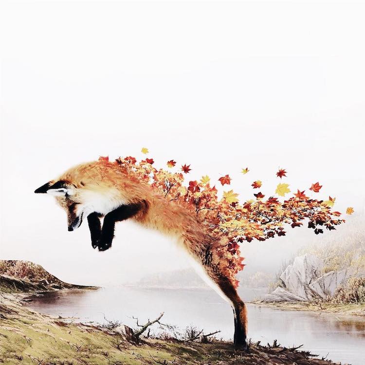 LuisaAzevedo 4 surrealismo naturaleza animales artedigital photoshop instagram