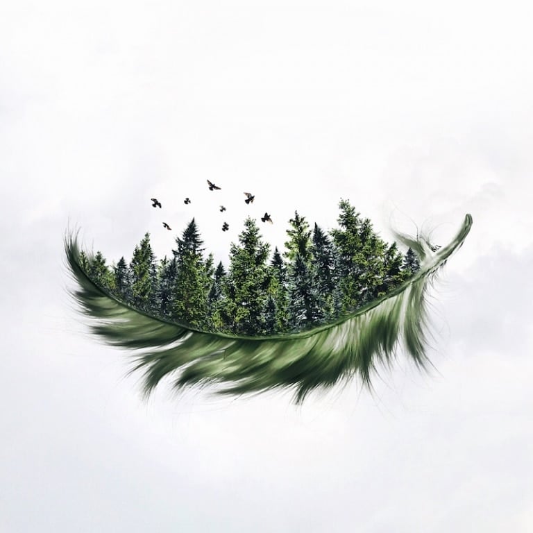 LuisaAzevedo 6 surrealismo naturaleza animales artedigital photoshop instagram