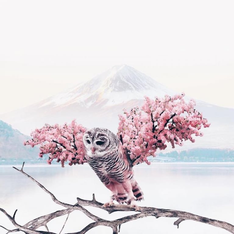 LuisaAzevedo 7 surrealismo naturaleza animales artedigital photoshop instagram