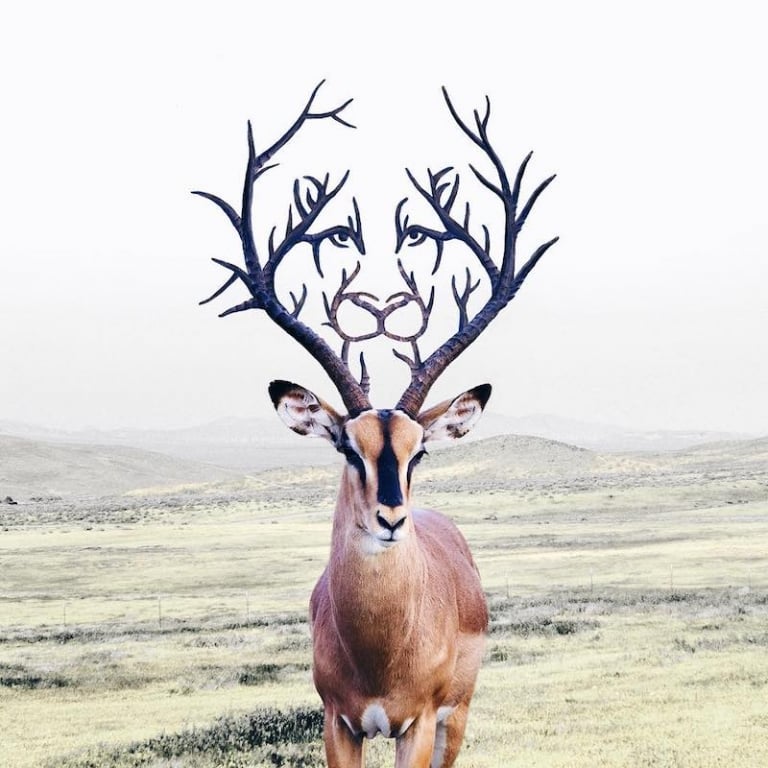 LuisaAzevedo 9 surrealismo naturaleza animales artedigital photoshop instagram