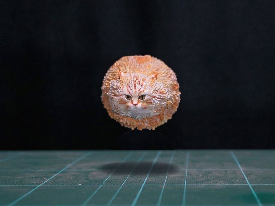 Meetisai 10 escultura gatos perros humor extravagancia frikismo