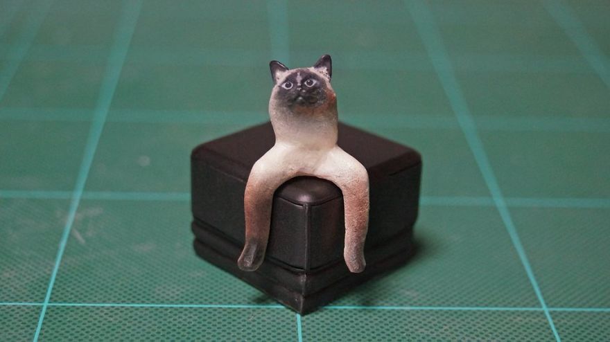 Meetisai 4 escultura gatos perros humor extravagancia frikismo
