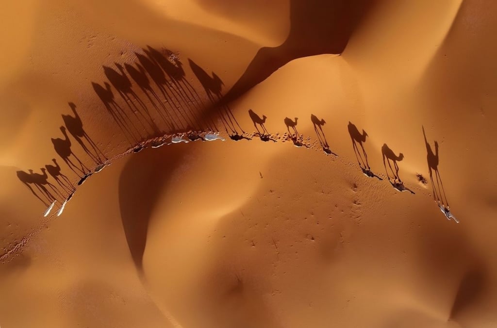 SienaInternationalPhotoAwards2018 3 SIPA fotografía mundo premio planeta culturas