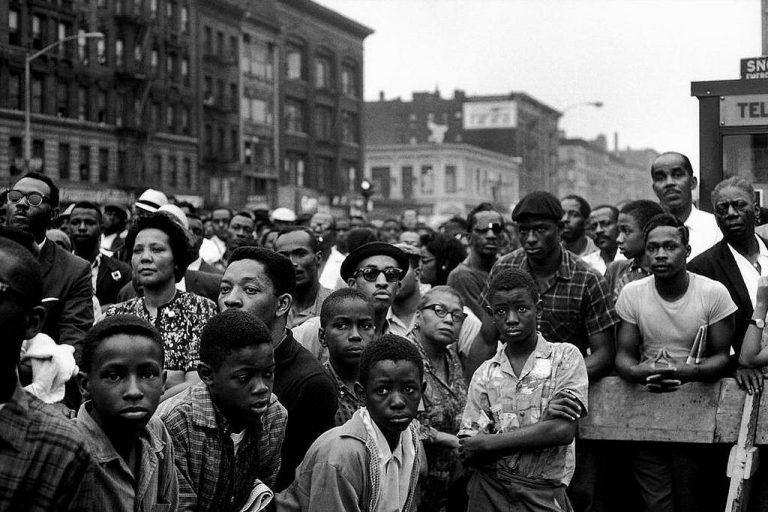 brucedavidson culturainquieta24