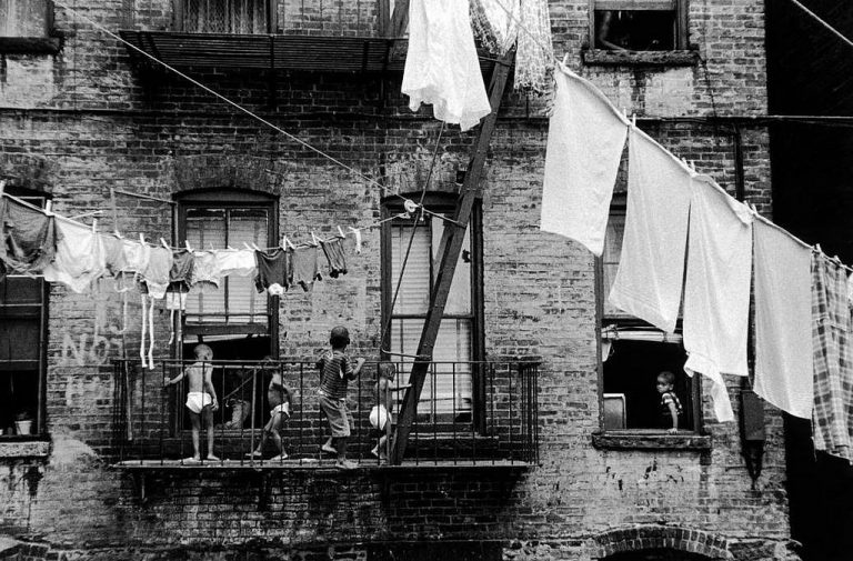 brucedavidson culturainquieta26