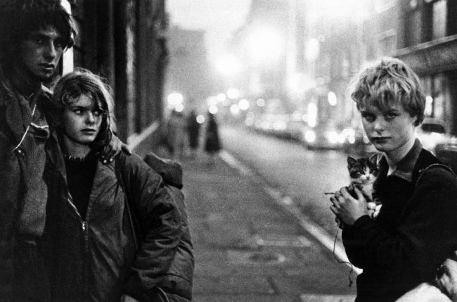 brucedavidson culturainquieta34