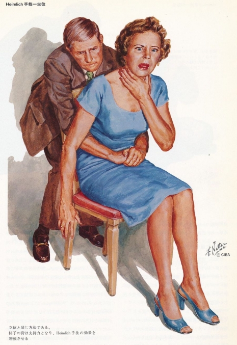 ilustraciones medicas Netter 06
