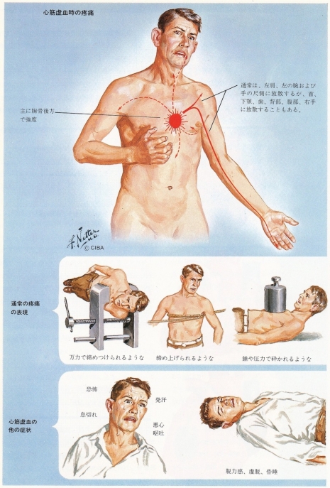 ilustraciones medicas Netter 15