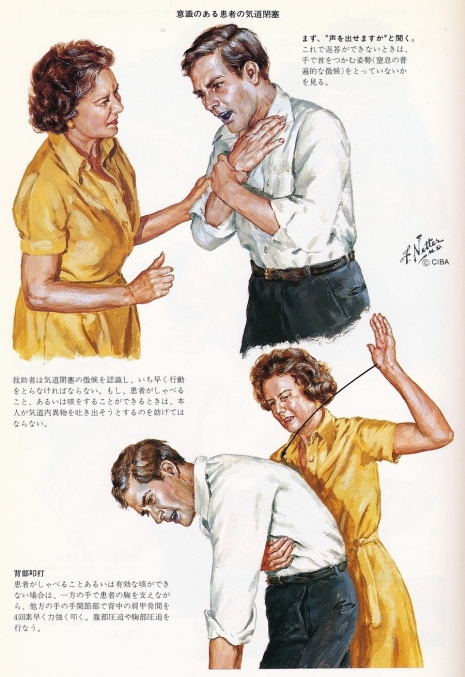 ilustraciones medicas Netter 16
