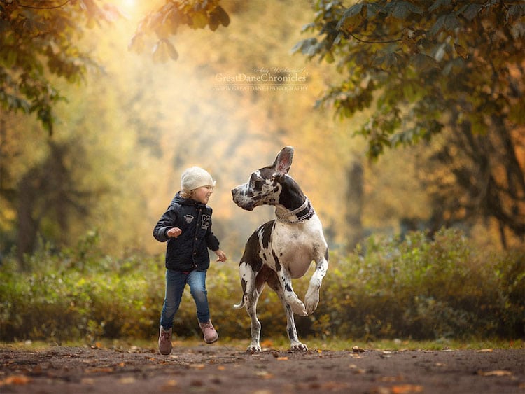 AndySeliverstoff 11 LittleKidsAndTheirBigDogs fotografía macotas perros infancia retratos belleza