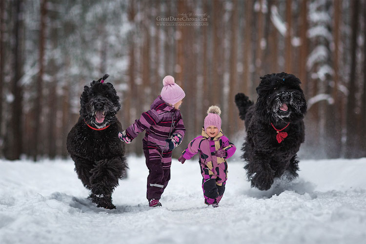 AndySeliverstoff 13 LittleKidsAndTheirBigDogs fotografía macotas perros infancia retratos belleza