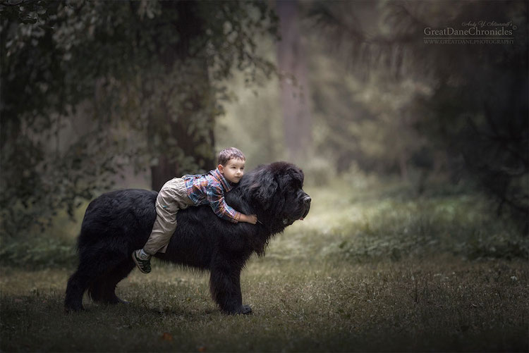 AndySeliverstoff 14 LittleKidsAndTheirBigDogs fotografía macotas perros infancia retratos belleza