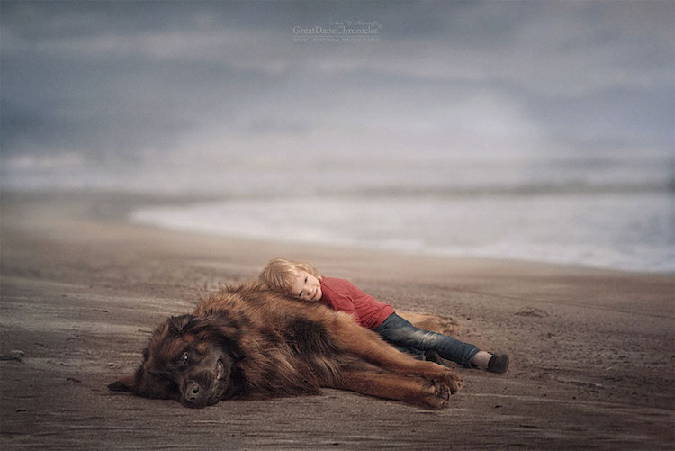AndySeliverstoff 15 LittleKidsAndTheirBigDogs fotografía macotas perros infancia retratos belleza