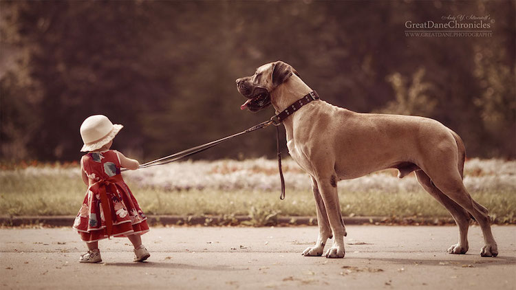 AndySeliverstoff 3 LittleKidsAndTheirBigDogs fotografía macotas perros infancia retratos belleza