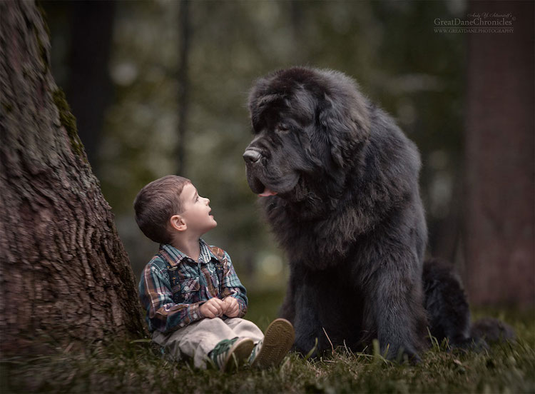 AndySeliverstoff 4 LittleKidsAndTheirBigDogs fotografía macotas perros infancia retratos belleza