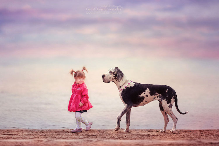 AndySeliverstoff 5 LittleKidsAndTheirBigDogs fotografía macotas perros infancia retratos belleza