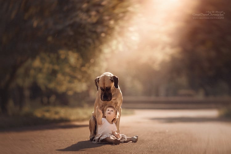 AndySeliverstoff 6 LittleKidsAndTheirBigDogs fotografía macotas perros infancia retratos belleza