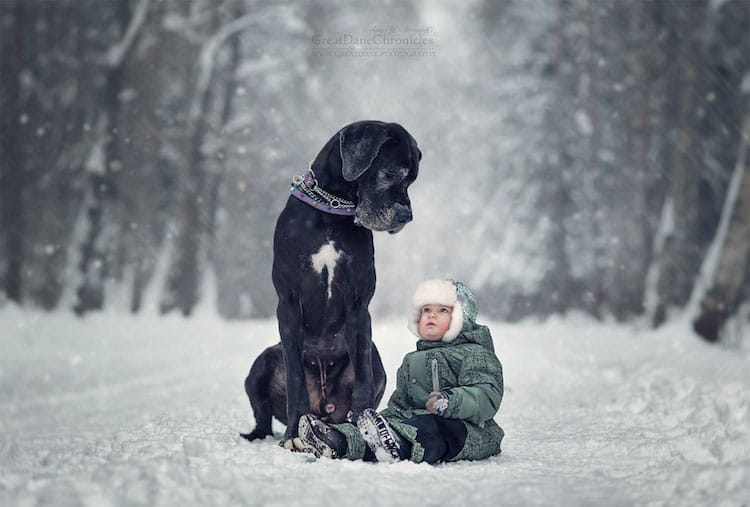 AndySeliverstoff 7 LittleKidsAndTheirBigDogs fotografía macotas perros infancia retratos belleza