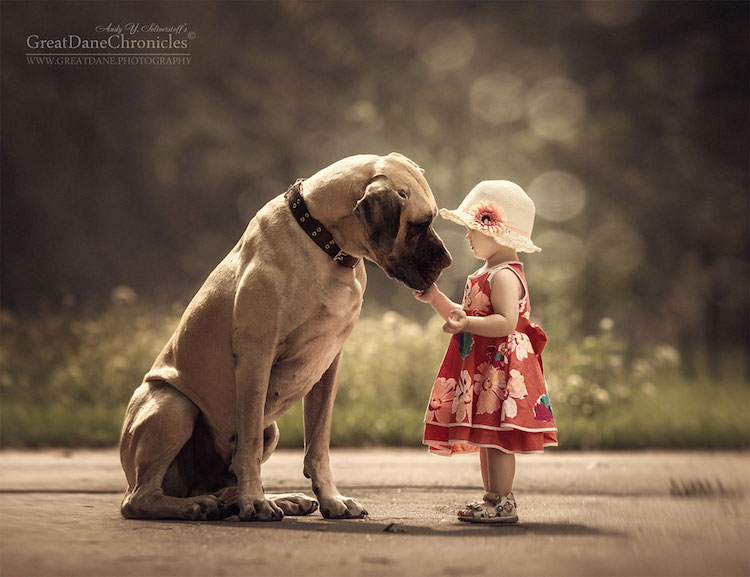 AndySeliverstoff 8 LittleKidsAndTheirBigDogs fotografía macotas perros infancia retratos belleza