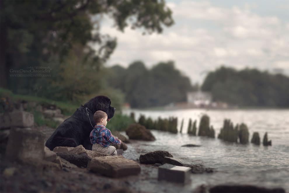 AndySeliverstoff 9 LittleKidsAndTheirBigDogs fotografía macotas perros infancia retratos belleza