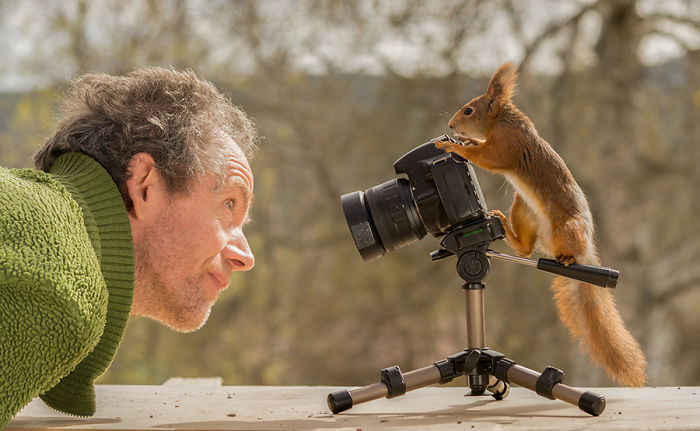 GeertWeggen 13 fotografía ardillas vidasalvaje naturaleza belleza estilodevida
