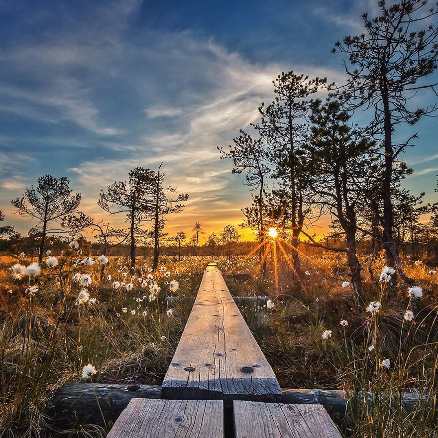 OssiSaarinen 19 Finlandia bosques naturaleza animales magia belleza viajes planeta