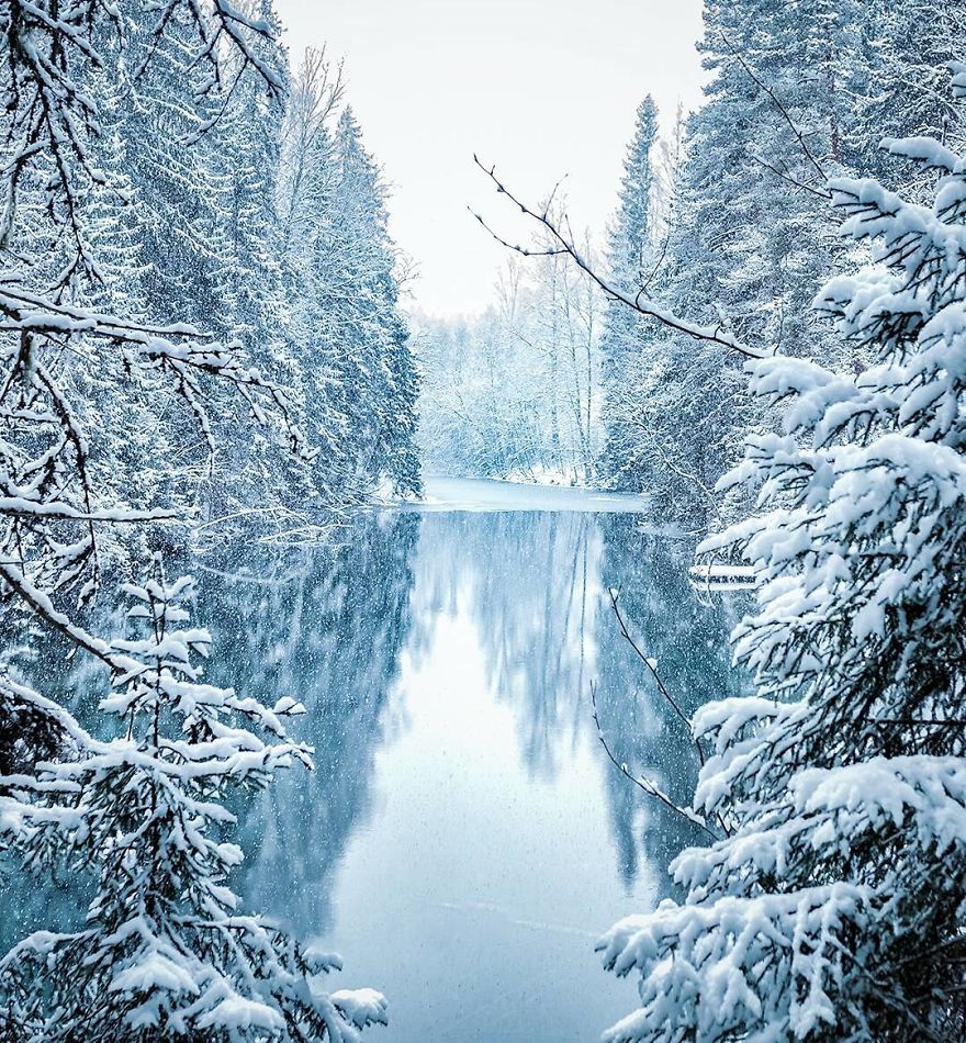 OssiSaarinen 9 Finlandia bosques naturaleza animales magia belleza viajes planeta