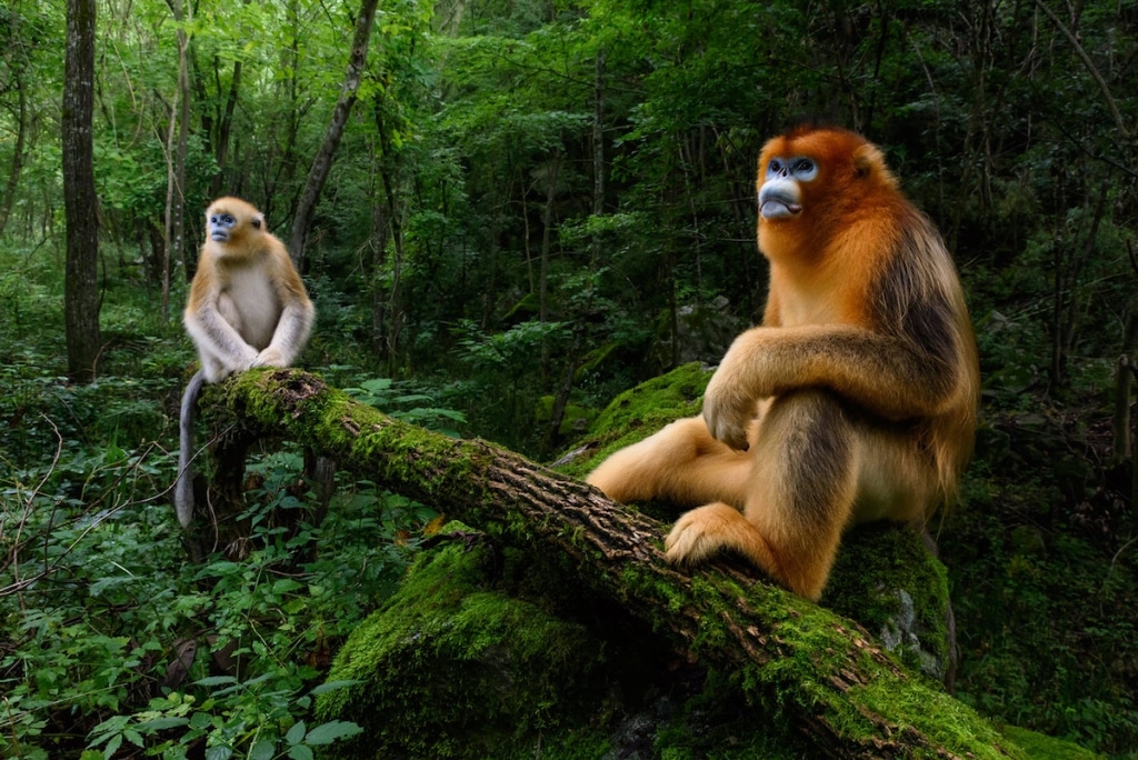 TPOTY 9 TravelPhotographerOfTheYear 2018 fotografía estilodevida planeta viajes cultura premios