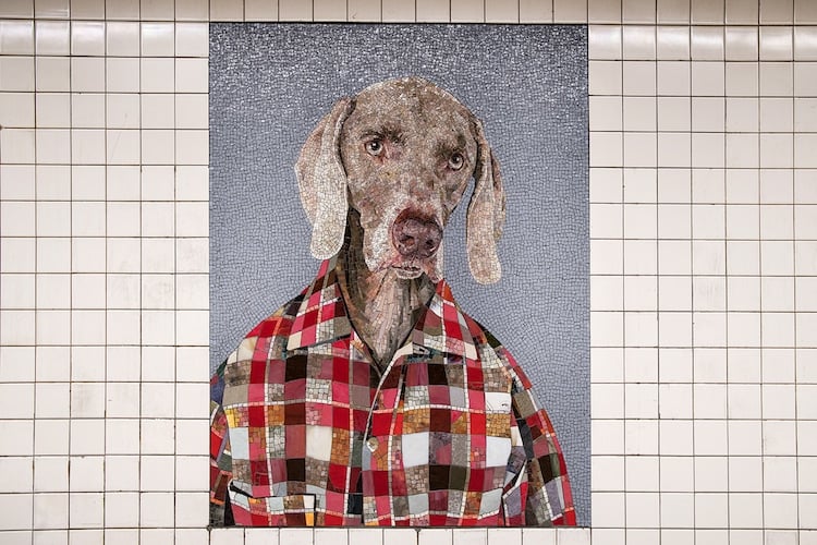 WilliamWegman 4 mosaicos Weimaraner intervencionesurbanas arteurbano MetroDeNuevaYork color