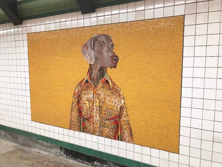 WilliamWegman 6 mosaicos Weimaraner intervencionesurbanas arteurbano MetroDeNuevaYork color